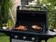 Campingaz Plancha EX3 - Barbecue a gas