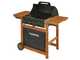 Campingaz Adelaide 3 Woody L Dual Gas - Barbecue a gas o metano