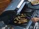 Campingaz 3 Series Premium S Dualgas - Barbecue a gas o metano