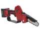 Archman PE03 - Potatore manuale a batteria - 2x 16.8V 2-4Ah