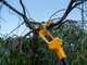 Stiga PR 100e - Potatore a batteria su asta telescopica - 20V/2Ah