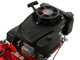 Eurosystems P55 - Decespugliatore a ruote a benzina - Loncin 196cc