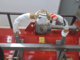 OUTLET - DIFETTI ESTETICI - GeoTech-Pro MFM-175 - Trinciaerba per trattore - Serie media