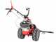 Eurosystems M310 - Motofalciatrice bilama - Larghezza di taglio 127 cm - Rato RV200 OHV