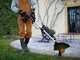Worx WG173E - Tagliabordi a batteria 3 in 1 - 20V 4Ah