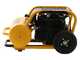 OUTLET - DA ESPOSIZIONE - DeWalt DPC17PS-QS - Compressore aria elettrico portatile monofase, oil-less - Motore 2.5 HP - 17 lt