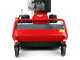 Meccanica Benassi TR 600 - Trinciaerba professionale a martelli - B&amp;S 3125E