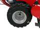 Meccanica Benassi TR 600 - Trinciaerba professionale a martelli - B&amp;S 3125E