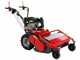Meccanica Benassi TR 600 - Trinciaerba professionale a martelli - B&amp;S 3125E