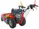 Meccanica Benassi TR 600 - Trinciaerba professionale a martelli - B&amp;S 3125E