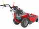 Meccanica Benassi TR 600 - Trinciaerba professionale a martelli - B&amp;S 3125E
