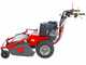 Meccanica Benassi TR 600 - Trinciaerba professionale a martelli - B&amp;S 3125E