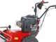 Meccanica Benassi TR 600 - Trinciaerba professionale a martelli - B&amp;S 3125E