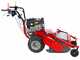 Meccanica Benassi TR 600 - Trinciaerba professionale a martelli - B&amp;S 3125E