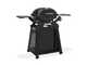 Weber Q2200N - Barbecue a gas con carrello Premium - Ripiani laterali