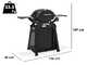 Weber Q2200N - Barbecue a gas con carrello Premium - Ripiani laterali