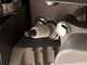 Eurosystems P70 EVO - Decespugliatore a ruote a benzina - Loncin 224 OHV