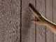 Keter Newton plus 759/975 - Casetta da giardino - Con porta doppia anta e finestre - 230x287x246 cm