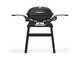 Weber Q2200N - Barbecue a gas con ripiani laterali e supporto multiuso