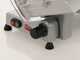 OUTLET - PICCOLI DIFETTI ESTETICI - RGV Desy AF 300 F - Affettatrice con lama temperata 300 mm - 180W