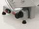 OUTLET - PICCOLI DIFETTI ESTETICI - RGV Desy AF 300 F - Affettatrice con lama temperata 300 mm - 180W