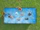 Bestway APX 365 561KA - Piscina fuori terra per 7-8 Persone
