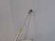 OUTLET - PICCOLI DIFETTI ESTETICI - Kawasaki TJ 45 E I - Decespugliatore a scoppio - Asta Blue Bird