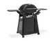 Weber Q3200N+ - Barbecue a gas con carrello Premium - Ripiani laterali