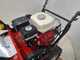 OUTLET - UTILIZZATA PER PROVA - Ginko-MGM TT 680 - Trinciaerba professionale a martelli - Honda GX200