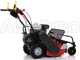 OUTLET - UTILIZZATA PER PROVA - Ginko-MGM TT 680 - Trinciaerba professionale a martelli - Honda GX200