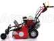 OUTLET - UTILIZZATA PER PROVA - Ginko-MGM TT 680 - Trinciaerba professionale a martelli - Honda GX200