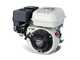 OUTLET - PICCOLI DIFETTI ESTETICI - BlackStone AR400 - Arieggiatore a lame fisse - Motore Honda GP200