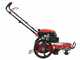 Blue Bird TrimTech W - Decespugliatore a ruote a benzina 4 tempi a spinta