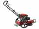 Blue Bird TrimTech W - Decespugliatore a ruote a benzina 4 tempi a spinta