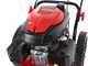 Blue Bird TrimTech W - Decespugliatore a ruote a benzina 4 tempi a spinta