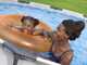 Bestway Steel Pro Max 56416 - Piscina Rotonda per 5-6 Persone
