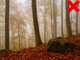 Eurosystems P70 EVO - Aspirafoglie a scoppio - Rato RV200