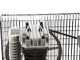 OUTLET - PICCOLI DIFETTI ESTETICI - GeoTech-Pro BACP100-10-3 - Compressore aria elettrico a cinghia - Motore 3 HP - 100 lt - 10 bar