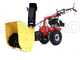 Eurosystems P70 EVO - Motocoltivatore a scoppio - Rato RV200