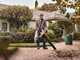 STIHL SHA 56 - Soffiatore aspiratore con batteria AK 10 - 36V 2Ah