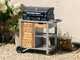 Campingaz Sigma 2 Cook - Plancha a gas portatile con coperchio