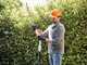 STIHL HLA 56 - Tagliasiepi su asta con batteria AK 30 S - 36V 5Ah