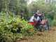 Meccanica Benassi FOX 95 2WD  - Trattorino trinciaerba sfalciatutto - Motore bicilindrico Loncin 708 cc - Trasmissione Idrostatica