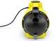 Karcher BP 6.000 Garden - Elettropompa per irrigazione - 1000 W - 6000 l/h