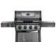 Napoleon Freestyle 425 SB - Barbecue a gas - Con fornello laterale