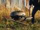 Napoleon TravelQ PRO285X Phantom  - Barbecue a gas portatile