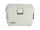 Coleman Pro 45QT - Contenitore frigo con maniglie integrate