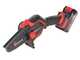 Einhell GE-PS 18/15 Li BL - Potatore manuale a batteria - 18V 2.5Ah