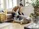 Karcher VC 4 Cordless myHome Pet - Scopa elettrica - 21.6 V - 2.5 Ah