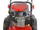 Blue Bird TrimTech T - Decespugliatore a ruote a benzina 4 tempi semovente